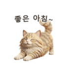 【韓国語】 サイベリアン スタンプ 1（個別スタンプ：2）