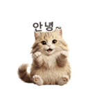 【韓国語】 サイベリアン スタンプ 1（個別スタンプ：4）