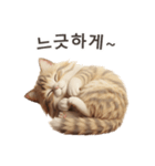 【韓国語】 サイベリアン スタンプ 1（個別スタンプ：5）