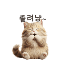 【韓国語】 サイベリアン スタンプ 1（個別スタンプ：6）