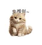【韓国語】 サイベリアン スタンプ 1（個別スタンプ：8）