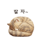 【韓国語】 サイベリアン スタンプ 1（個別スタンプ：11）