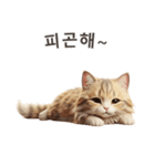 【韓国語】 サイベリアン スタンプ 1（個別スタンプ：13）