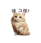 【韓国語】 サイベリアン スタンプ 1（個別スタンプ：15）