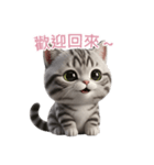 【繁體字】 アメリカンショートヘア 2（個別スタンプ：9）