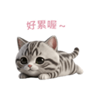 【繁體字】 アメリカンショートヘア 2（個別スタンプ：13）