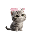 【繁體字】 アメリカンショートヘア 2（個別スタンプ：15）