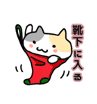 ねこねこの住む家ミルときどきハナ（個別スタンプ：3）