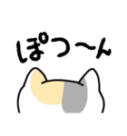 ねこねこの住む家ミルときどきハナ（個別スタンプ：5）