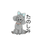トイプードル グレー（感情多め）（個別スタンプ：5）