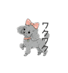 トイプードル グレー（感情多め）（個別スタンプ：7）