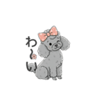 トイプードル グレー（感情多め）（個別スタンプ：12）