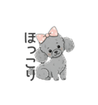 トイプードル グレー（感情多め）（個別スタンプ：13）