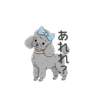 トイプードル グレー（感情多め）（個別スタンプ：14）