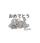 トイプードル グレー（感情多め）（個別スタンプ：16）