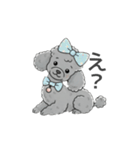 トイプードル グレー（感情多め）（個別スタンプ：17）