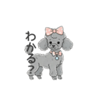 トイプードル グレー（感情多め）（個別スタンプ：18）