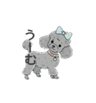 トイプードル グレー（感情多め）（個別スタンプ：19）