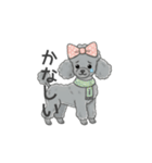 トイプードル グレー（感情多め）（個別スタンプ：20）