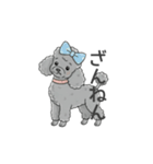 トイプードル グレー（感情多め）（個別スタンプ：27）