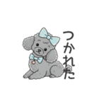 トイプードル グレー（感情多め）（個別スタンプ：28）