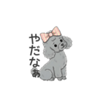 トイプードル グレー（感情多め）（個別スタンプ：31）