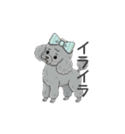 トイプードル グレー（感情多め）（個別スタンプ：33）