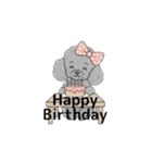 トイプードル グレー（感情多め）（個別スタンプ：34）