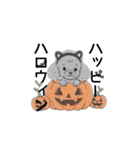 トイプードル グレー（感情多め）（個別スタンプ：36）