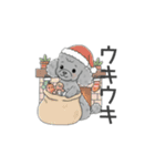 トイプードル グレー（感情多め）（個別スタンプ：39）