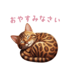 【日本語】 ベンガル スタンプ 2（個別スタンプ：11）