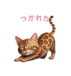 【日本語】 ベンガル スタンプ 2（個別スタンプ：13）