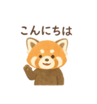 レッサーパンダのゆるっと挨拶（個別スタンプ：1）