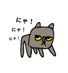 カク猫さん（個別スタンプ：7）