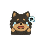 ポメラニアンのルイ君（個別スタンプ：3）