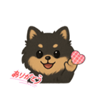 ポメラニアンのルイ君（個別スタンプ：8）
