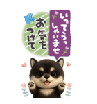 豆柴んず♡長文♡北欧風スタンプ（個別スタンプ：3）