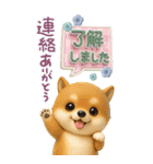 豆柴んず♡長文♡北欧風スタンプ（個別スタンプ：5）