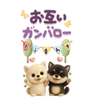 豆柴んず♡長文♡北欧風スタンプ（個別スタンプ：11）