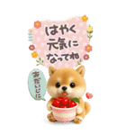 豆柴んず♡長文♡北欧風スタンプ（個別スタンプ：22）