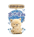 豆柴んず♡長文♡北欧風スタンプ（個別スタンプ：31）