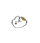 猫田のスタンプ11▼（個別スタンプ：12）