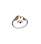 猫田のスタンプ11▼（個別スタンプ：16）