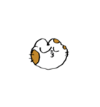 猫田のスタンプ11▼（個別スタンプ：17）