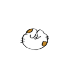 猫田のスタンプ11▼（個別スタンプ：20）