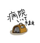 猫飼いさんが日常で使う言葉と数字（個別スタンプ：15）
