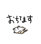 猫飼いさんが日常で使う言葉と数字（個別スタンプ：16）
