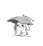 うさにゃんの動物スタンプ（個別スタンプ：22）