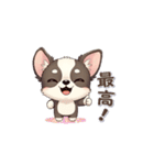 チョコたんの元気スタンプ（個別スタンプ：6）