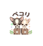 チョコたんの元気スタンプ（個別スタンプ：11）
